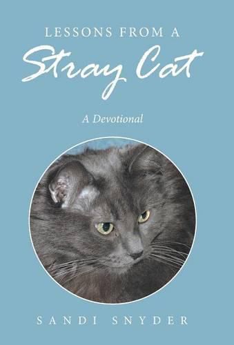 Cover image for Lessons from a Stray Cat: A Devotional