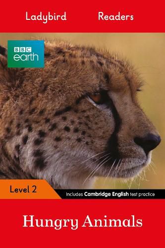 Cover image for Ladybird Readers Level 2 - BBC Earth - Hungry Animals (ELT Graded Reader)