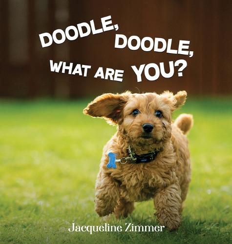 Cover image for Doodle, Doodle, What Are You?