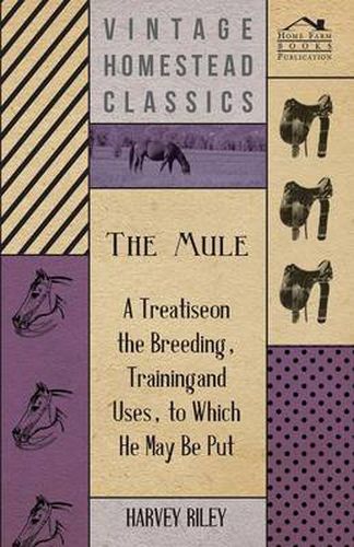 Cover image for The Mule - A Treatise On The Breeding, Training And Uses, To Which He May Be Put