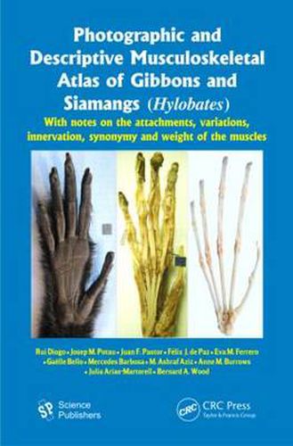 Cover image for Photographic and Descriptive Musculoskeletal Atlas of Gibbons and Siamangs (Hylobates): With Notes on the Attachments, Variations, Innervation, Synonymy and Weight of the Muscles