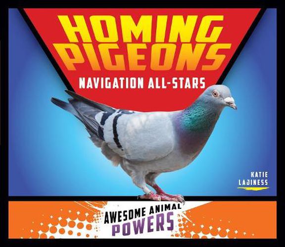 Homing Pigeons: Navigation All-Stars