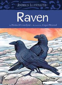 Cover image for Animals Illustrated: Raven
