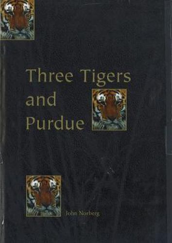 Cover image for Three Tigers & Purdue