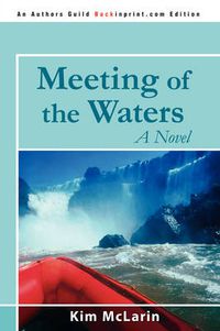 Cover image for Meeting of the Waters