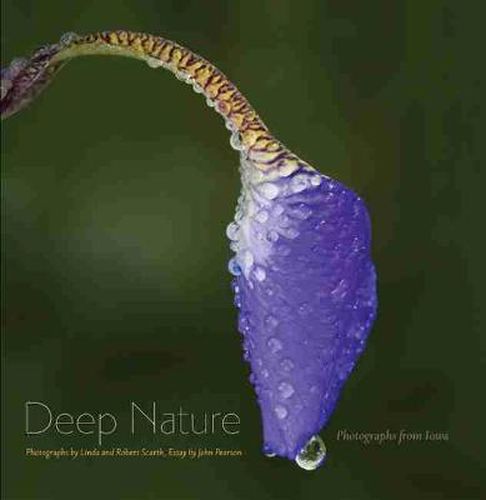 Cover image for Deep Nature: Photographs from Iowa