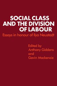 Cover image for Social Class and the Division of Labour: Essays in Honour of Ilya Neustadt