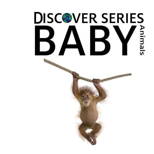 Cover image for Baby Animals