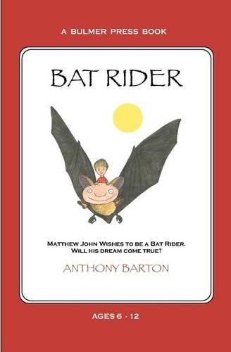 Cover image for Bat Rider