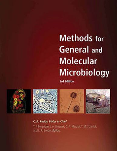 Cover image for Methods for General and Molecular Microbiology