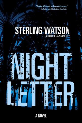 Cover image for Night Letter