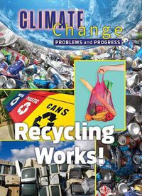 Cover image for Recycling Works: Problems and Progress