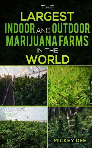 Cover image for The Largest Indoor and Outdoor Marijuana Farms in the World