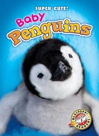 Cover image for Baby Penguins