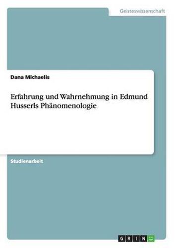 Erfahrung und Wahrnehmung in Edmund Husserls Phanomenologie