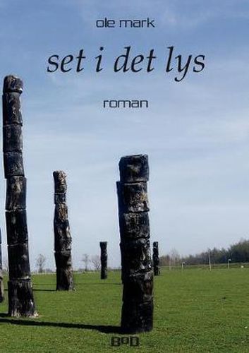 Cover image for Set i det lys