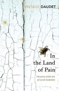 Cover image for In the Land of Pain