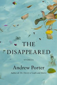 Cover image for The Disappeared: Stories