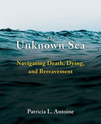 Cover image for The Unknown Sea