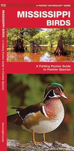 Cover image for Mississippi Birds: A Folding Pocket Guide to Familiar Species