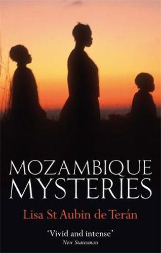 Cover image for Mozambique Mysteries