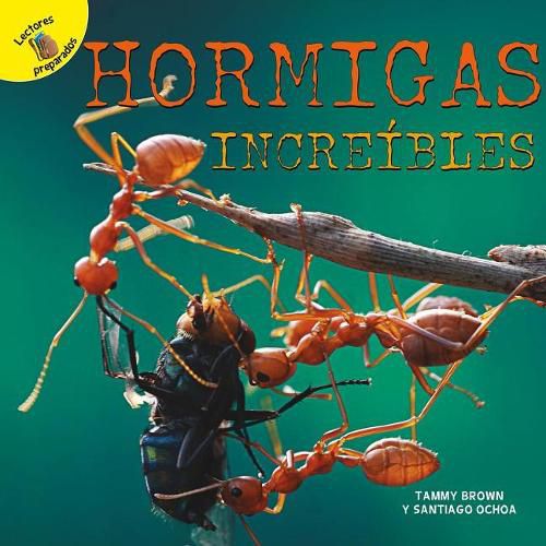 Cover image for Hormigas Increibles: Amazing Ants