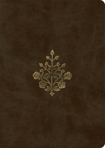 Cover image for ESV Study Bible, Large Print