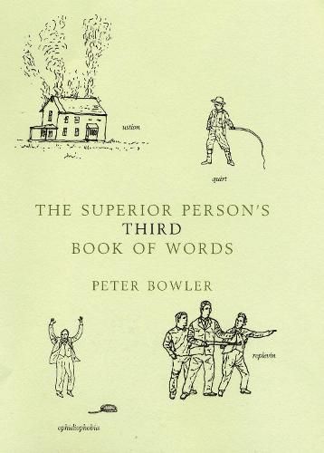 Cover image for The Superior Person's Third Book of Words