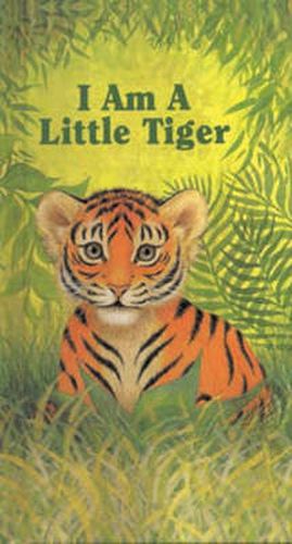 Cover image for I Am a Little Tiger