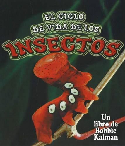 El Ciclo de Vida de Los Insectos (Insect Life Cycles)