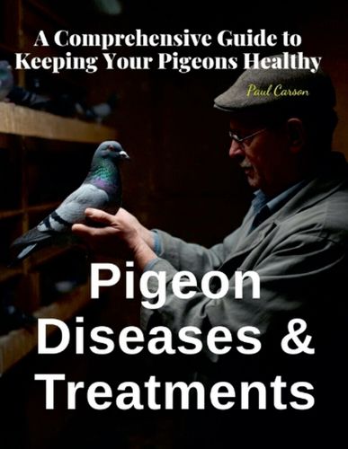 Pigeon Diseases and Treatments