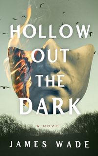 Cover image for Hollow Out the Dark