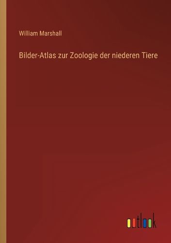 Cover image for Bilder-Atlas zur Zoologie der niederen Tiere
