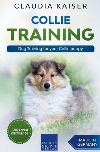 Collie Training - Dog Training for your Collie puppy