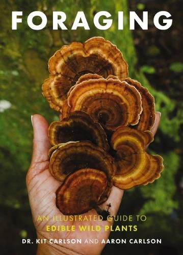 Cover image for Foraging: An Illustrated Guide to Edible Wild Plants