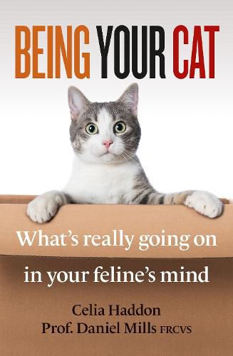 Cover image for Being Your Cat: Inside Your Feline's Mind