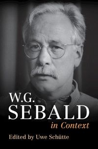 Cover image for W. G. Sebald in Context