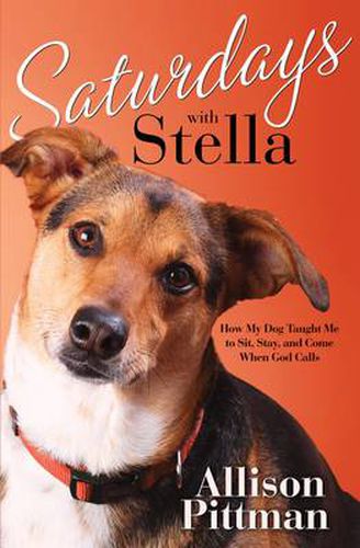 Cover image for Saturdays with Stella: How My Dog Tuaght Me to Sit, Stay and Come