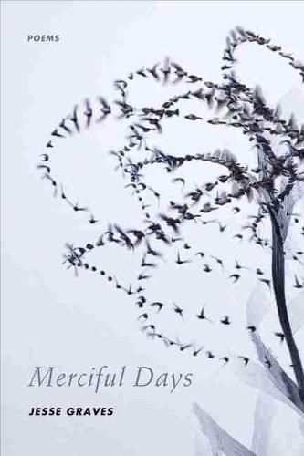 Cover image for Merciful Days: Poems