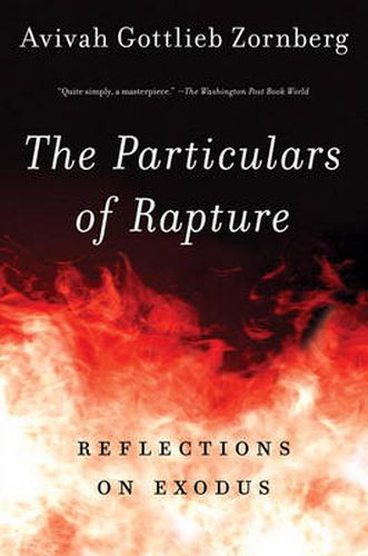 Cover image for The Particulars of Rapture: Reflections on Exodos