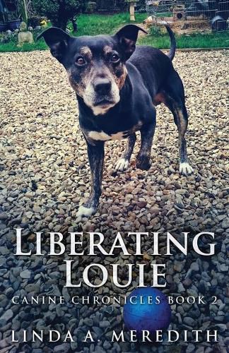 Cover image for Liberating Louie: The Road To Rutland