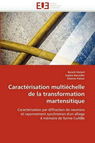 Cover image for Caracterisation Multiechelle de La Transformation Martensitique