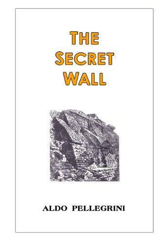 Cover image for The Secret Wall