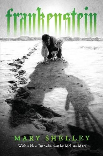 Cover image for Frankenstein