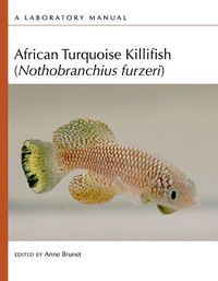 Cover image for African Turquoise Killifish (Nothobranchius Furzeri): A Laboratory Manual