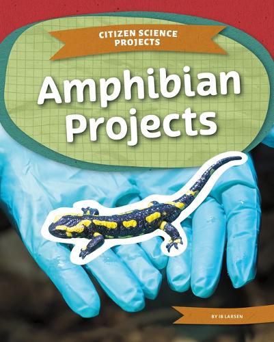 Cover image for Amphibian Projects