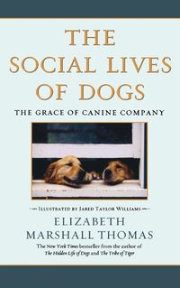 Cover image for Social Lives of Dogs