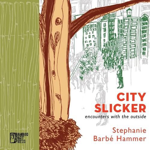 Cover image for City Slicker