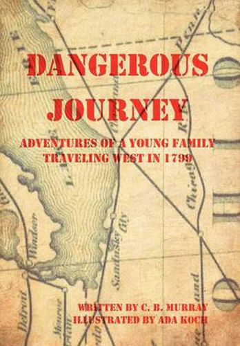 Cover image for Dangerous Journey