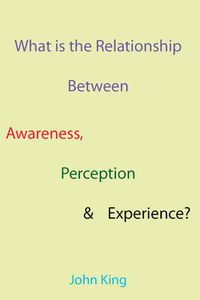 Cover image for What is the Relationship Between Awareness, Perception & Experience?
